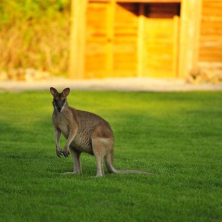 Paradise Bay Eco Escape Лонг-Айленд Экстерьер фото